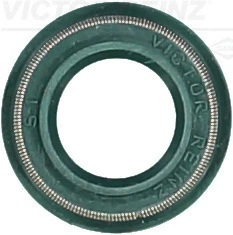 Seal Ring, valve stem